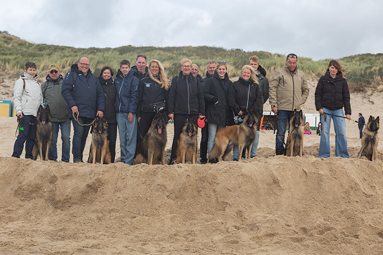  wandeling zoutelande